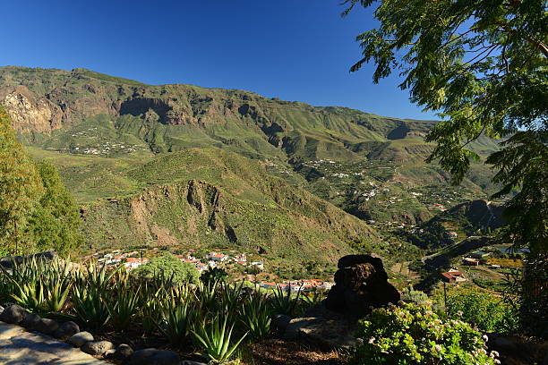 istock Fataga valley, Gran Canaria, Spain. 519364068