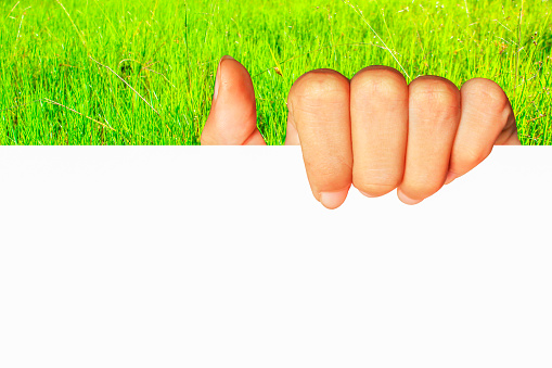 teenage girl hand holding blank white board paper business present on green grass nature background