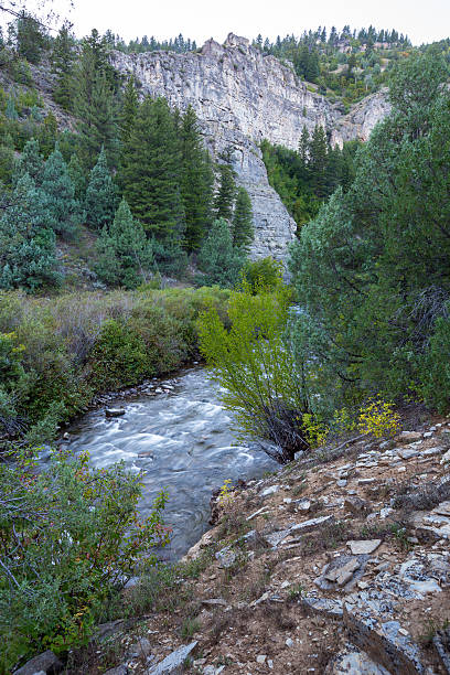 istock Landscape with tall cliff and water stream 519366173