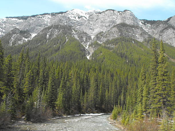 istock Nature in Rocky Mountains, Banff, Alberta, Canada 519366192