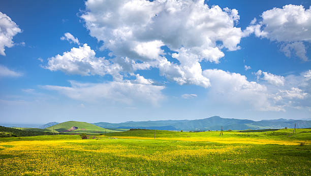 istock meadow, hills and blue sky 519369286