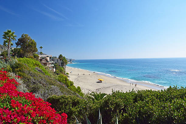 istock Laguna Beach Coastline & Gardens 519383087