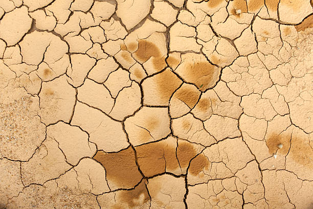 istock Surface of a grungy cracking dried mud floor 519384699