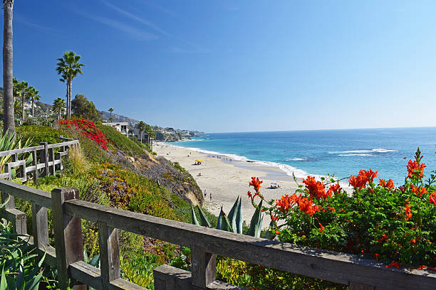 istock Laguna Beach Coastline & Gardens 519385135
