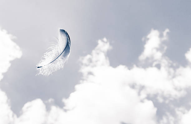 Feather in the sky Lone feather in the sky. innocence stock pictures, royalty-free photos & images