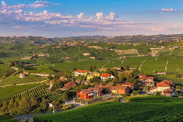 istock Small village among green vineyards. 519387941