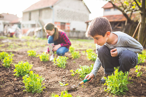 istock Family's garden 519388542