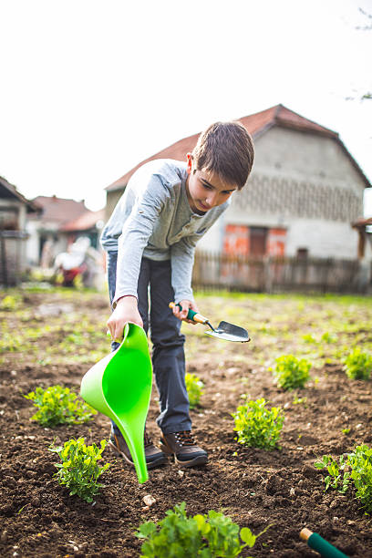 istock Boy watering in garden 519389758