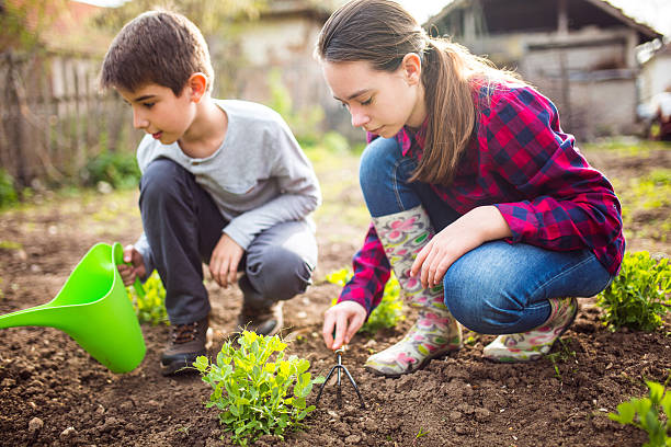 istock Family's garden 519391072