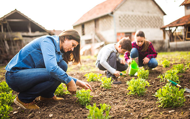 istock Family  in garden 519391466