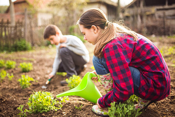 istock Family's garden 519391940