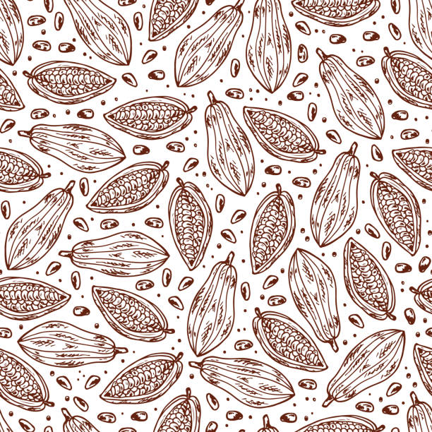Hand drawn doodle Cocoa fruits and cocoa beans Seamless pattern Hand drawn doodle Cocoa fruits and cocoa beans Seamless pattern cocoa bean stock illustrations