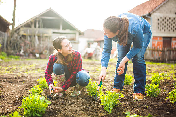 Mother and daughter working in garden Mother and daughter working in garden watering pail stock pictures, royalty-free photos & images