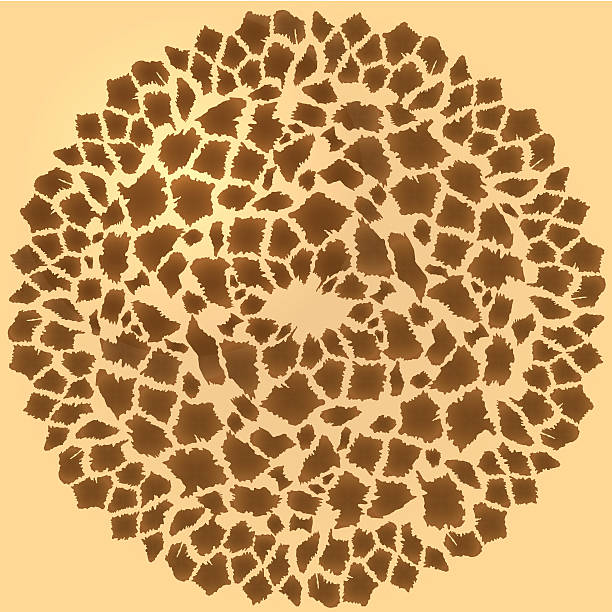 bezszwowe żyrafa futro rama - giraffe pattern africa animal stock illustrations