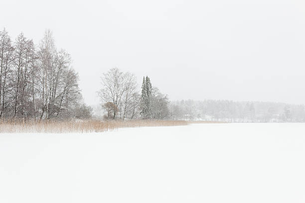 istock Blizzard winter landscape at frozen lake 519398924