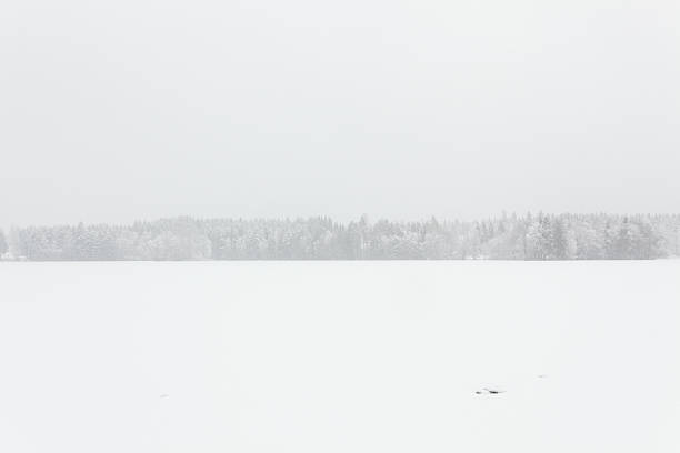 istock Blizzard winter landscape at frozen lake 519399238