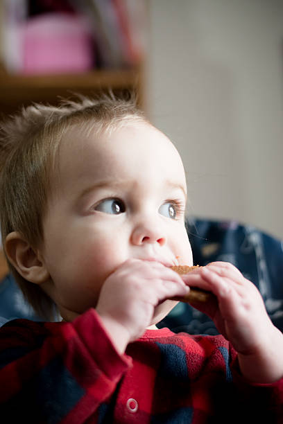 istock baby boy enjoys eating cookie 519399502