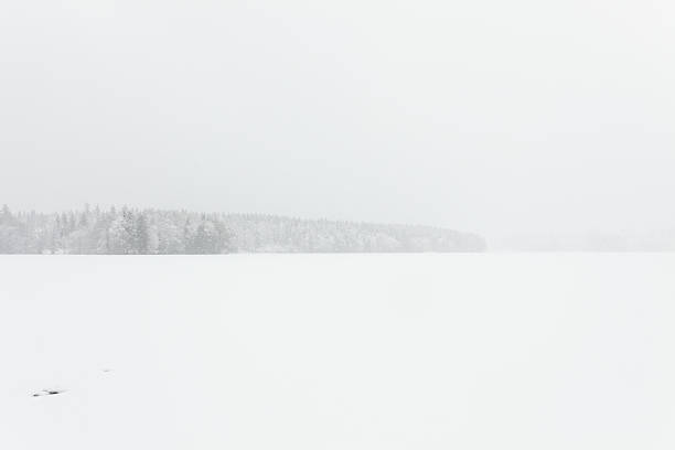 istock Blizzard winter landscape at frozen lake 519399532