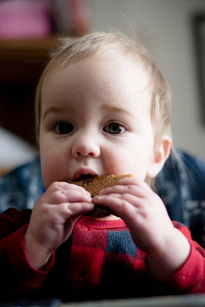 istock baby boy enjoys eating cookie 519399646