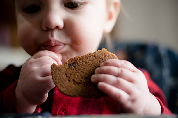 istock baby boy enjoys eating cookie focus on cookie 519399726