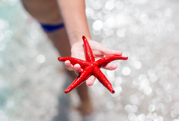 istock Closeup starfish at beach background water 519400526