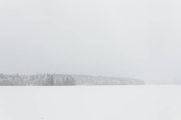 istock Blizzard winter landscape at frozen lake 519400842