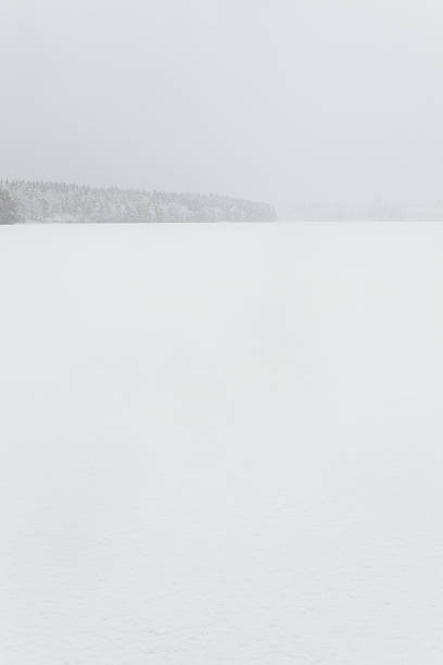 istock Blizzard winter landscape at frozen lake 519401408