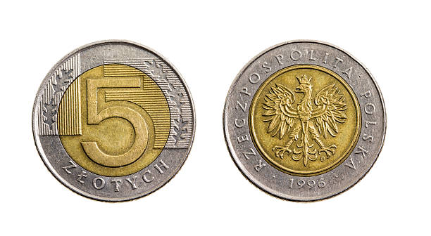 istock Five Polish zloty 519401508