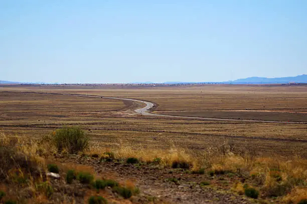 Desert road from a distance, chaparral in foreground.