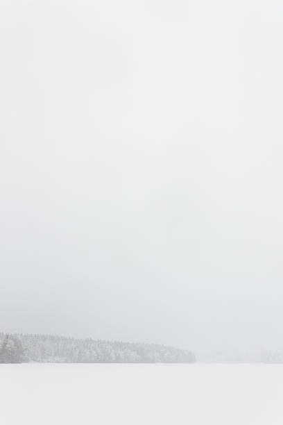 istock Blizzard winter landscape at frozen lake 519401698