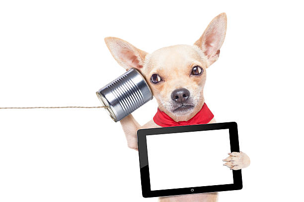 istock dog on the phone 519402757
