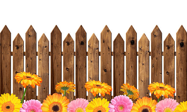 istock wooden fence 519402933