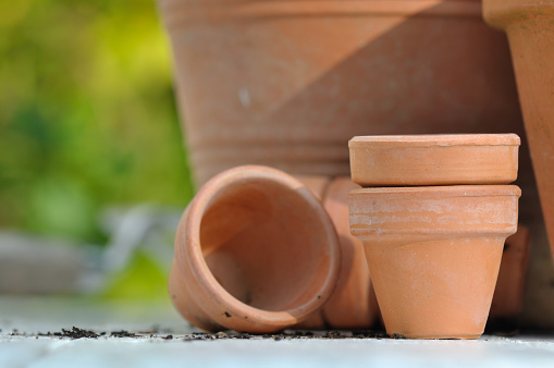 Pots arranged in a row