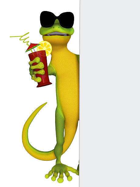 cartoon gecko with a drink and blank frame stock photo