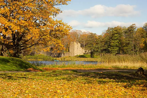 Aluksne Livonian order castle ruins during autumn