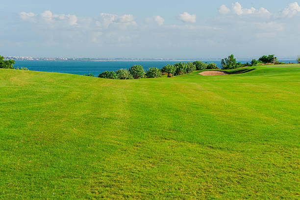 istock Golf club and ball in grass 519408405