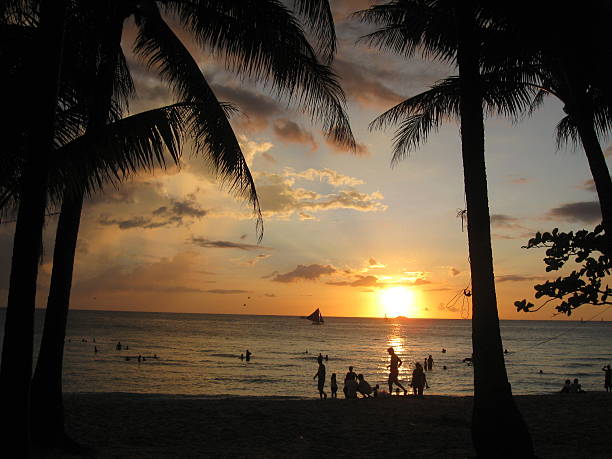 istock Beach Sunset with Silhouetted Clouds, People and Palms 519409317