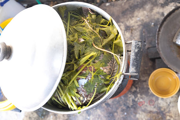 istock Steamed Tilapia with vegetable in pot ,Thai food 519420260