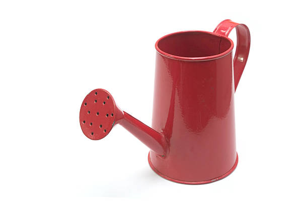 istock Red watering can isolated on white background 519420466
