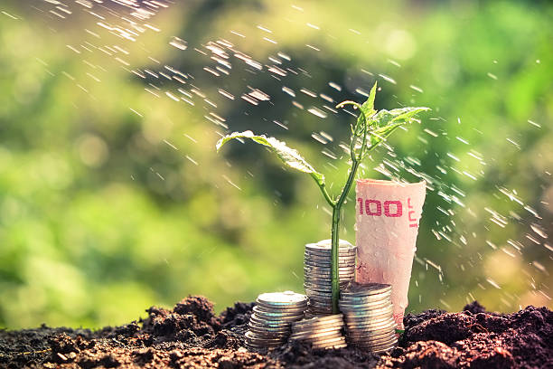 istock plant growing out of coins 519420566