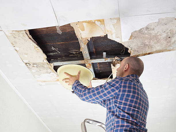 istock Man Collecting Water In basin From Ceiling 519421606