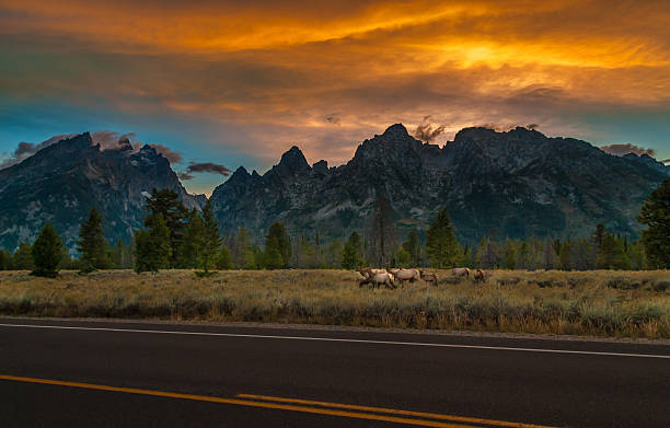 istock Grand Tetons Landscape 519422664