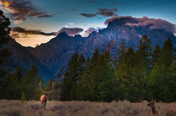 Photo of Grand Tetons Landscape