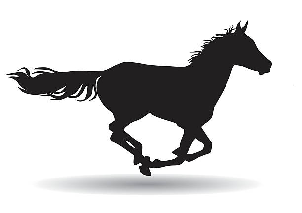horse,silhouette on a white background A horse gallops fast, vector illustration silhouette on a white background mustang stock illustrations