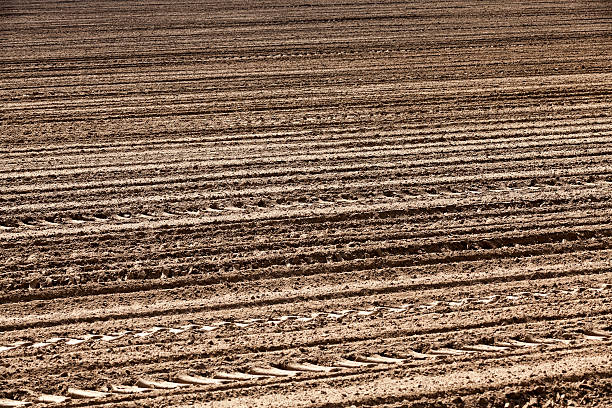 istock plowed agricultural land 519424946