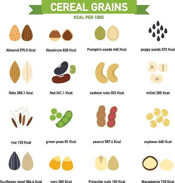 Vector illustration of kilocalorie in cereal grains per100 gram infographics.vector