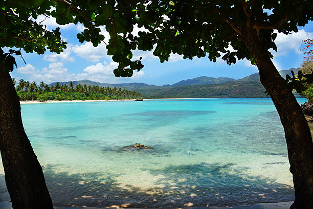 istock Tropical Samana beach, Playa Rincon, Dominican republic 519426490