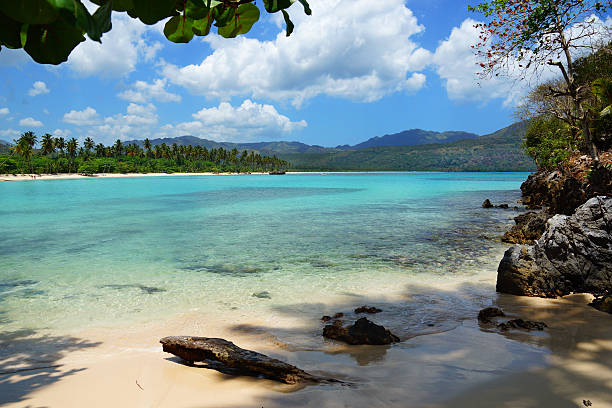 Tropical Samana beach, Playa Rincon, Dominican republic