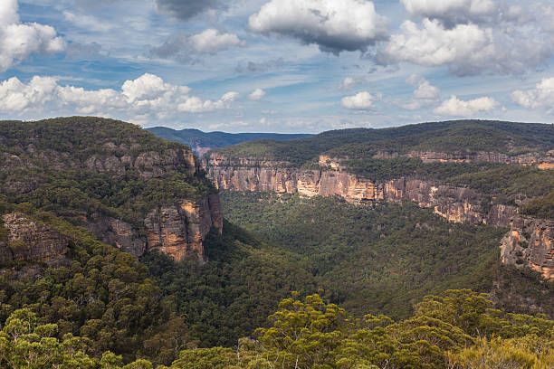 istock Wollemi National Park, NSW, Australia 519426748