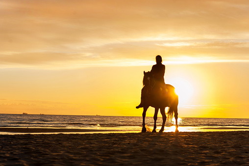 Horseriding at the beach on sunset background. Baltic sea. Vibrant multicolored summertime outdoors horizontal image.